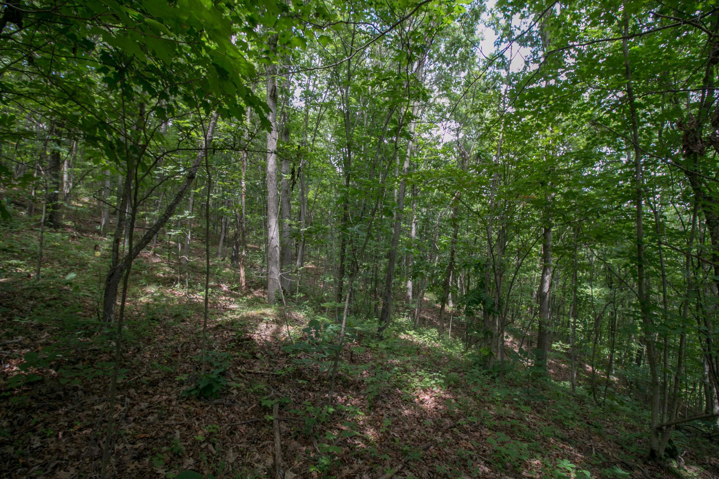 8640 Carr Bailey Road Millfield, OH 45761 - Photo 20 of 50 Gallery Image 20