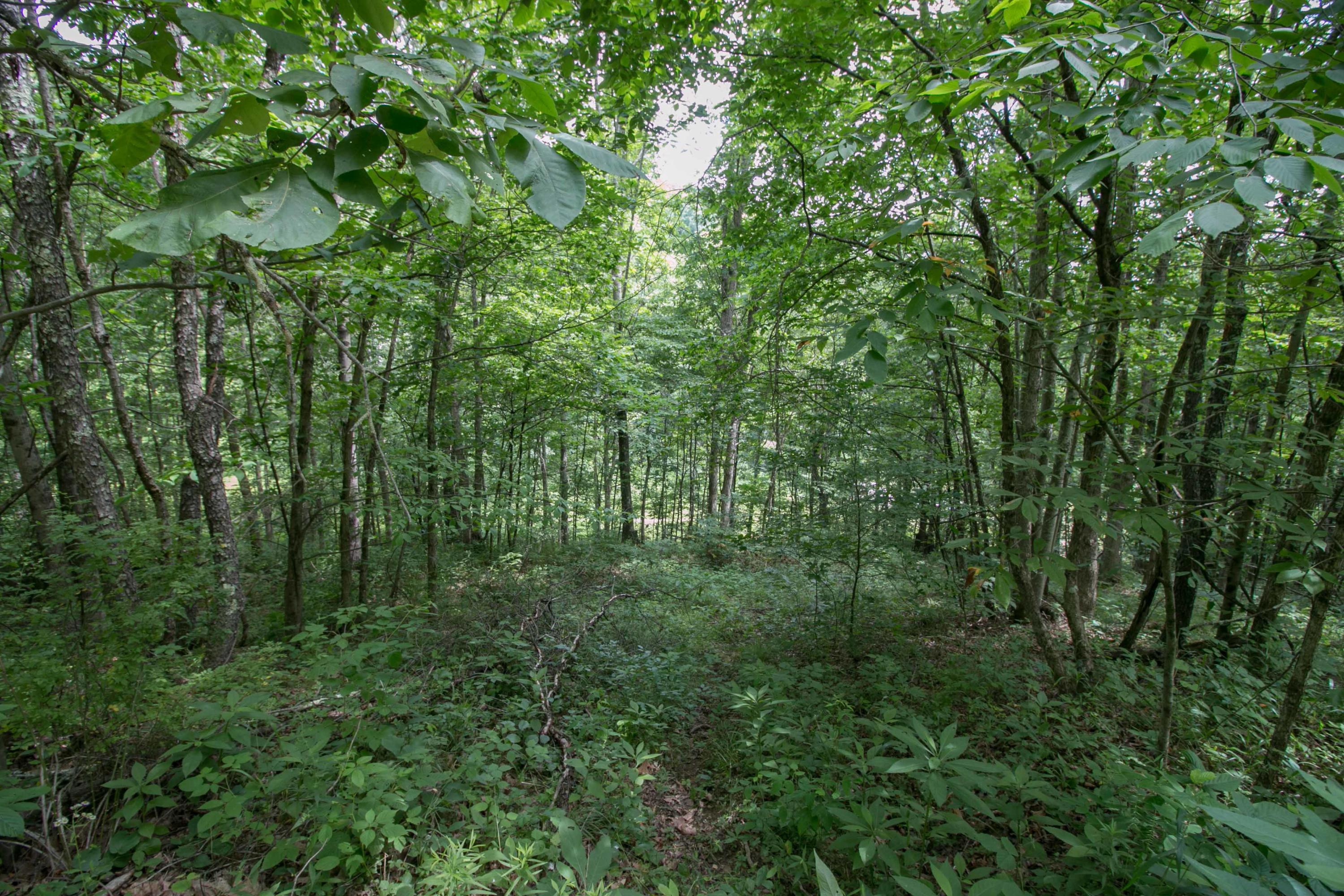 8640 Carr Bailey Road Millfield, OH 45761 - Photo 22 of 50 Gallery Image 22