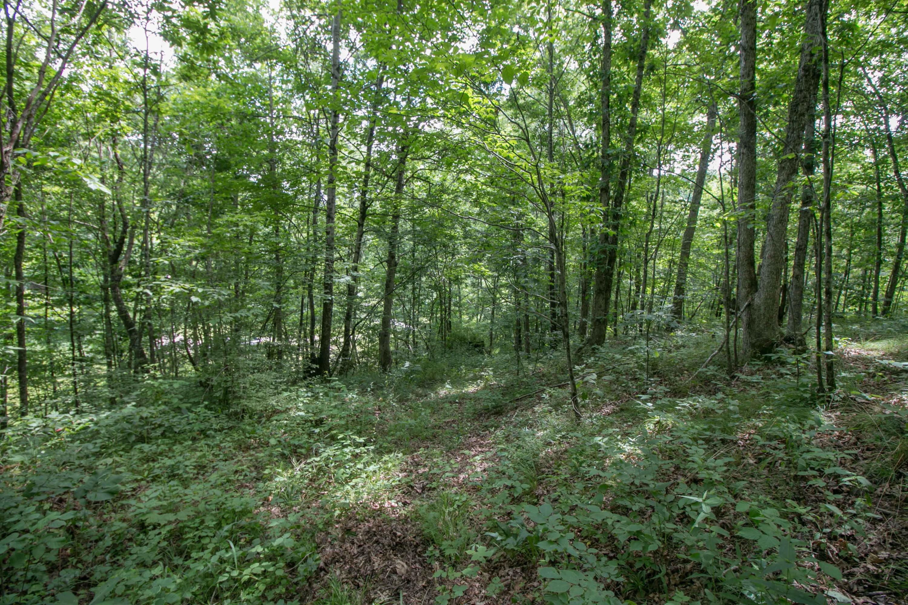 8640 Carr Bailey Road Millfield, OH 45761 - Photo 24 of 50 Gallery Image 24