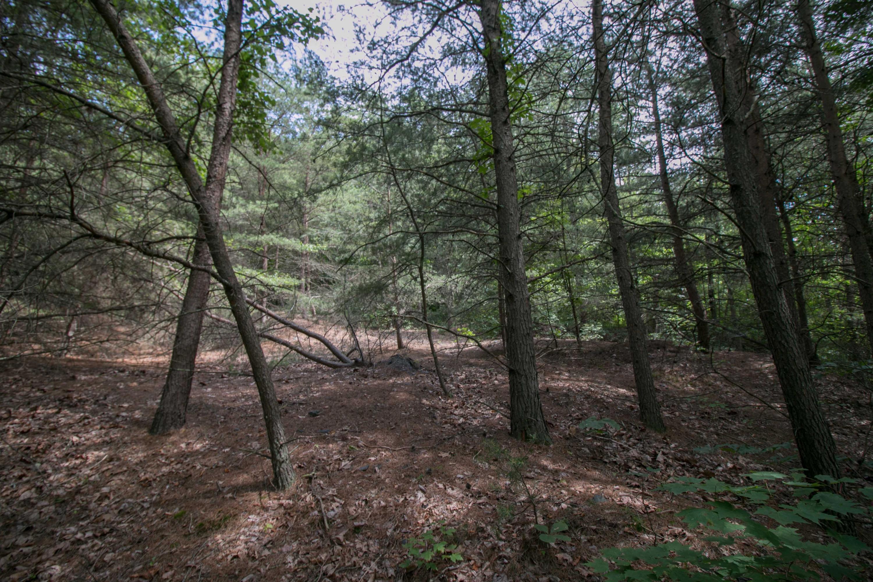 8640 Carr Bailey Road Millfield, OH 45761 - Photo 25 of 50 Gallery Image 25