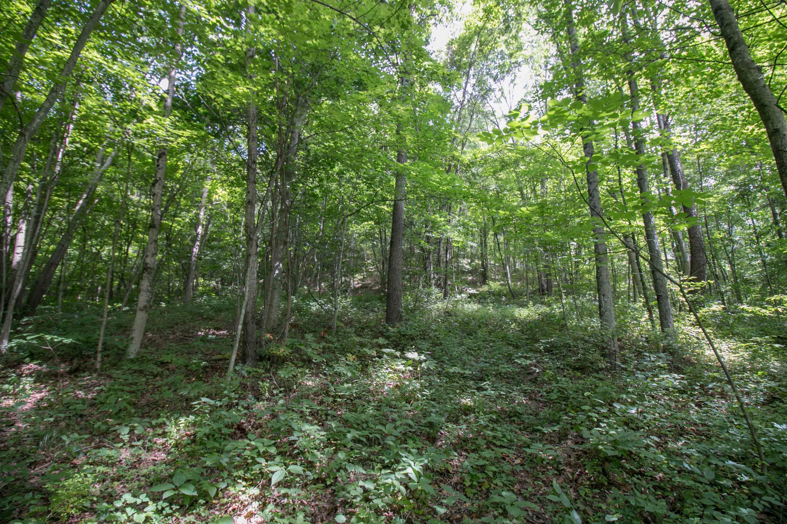 8640 Carr Bailey Road Millfield, OH 45761 - Photo 27 of 50 Gallery Image 27