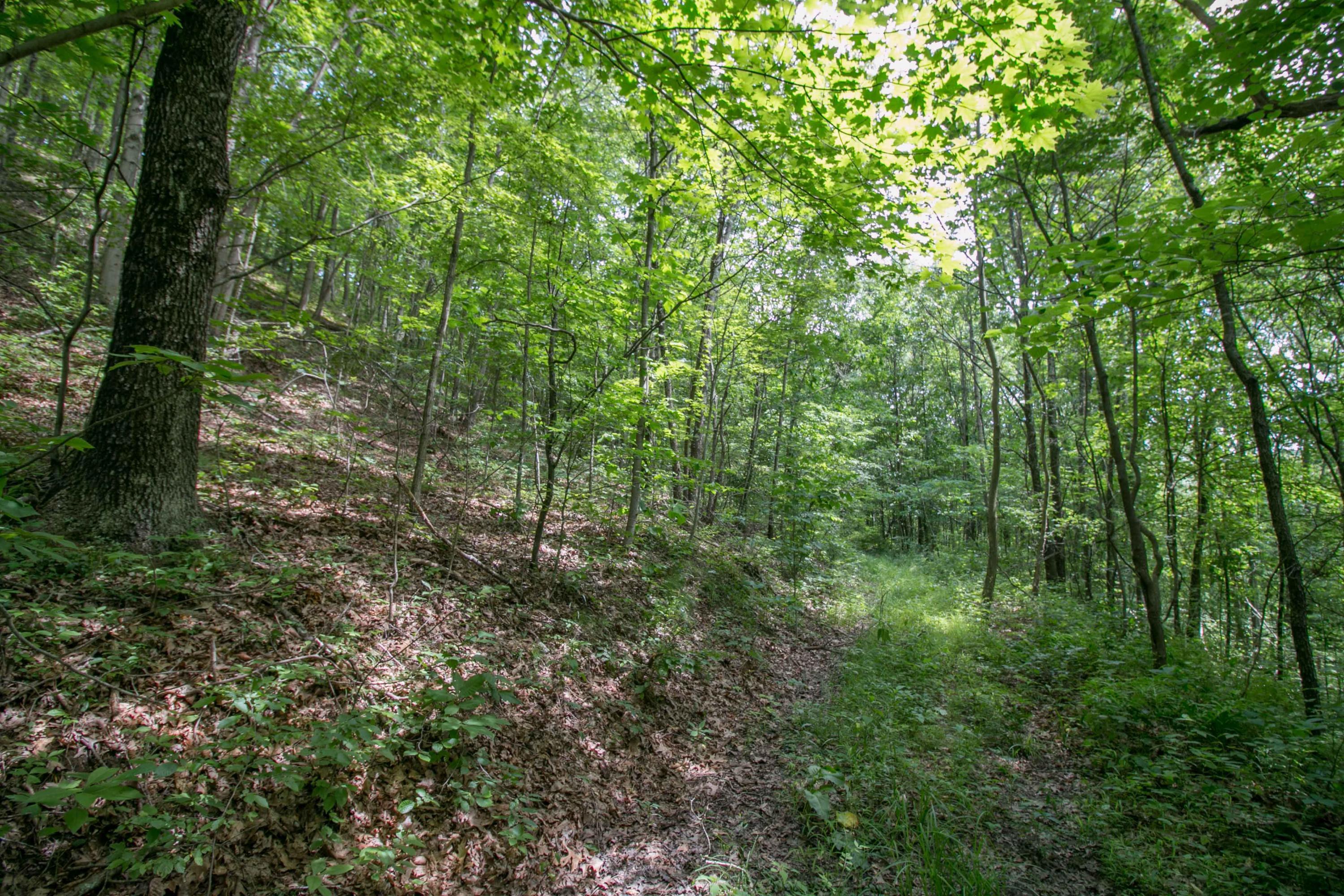 8640 Carr Bailey Road Millfield, OH 45761 - Photo 28 of 50 Gallery Image 28