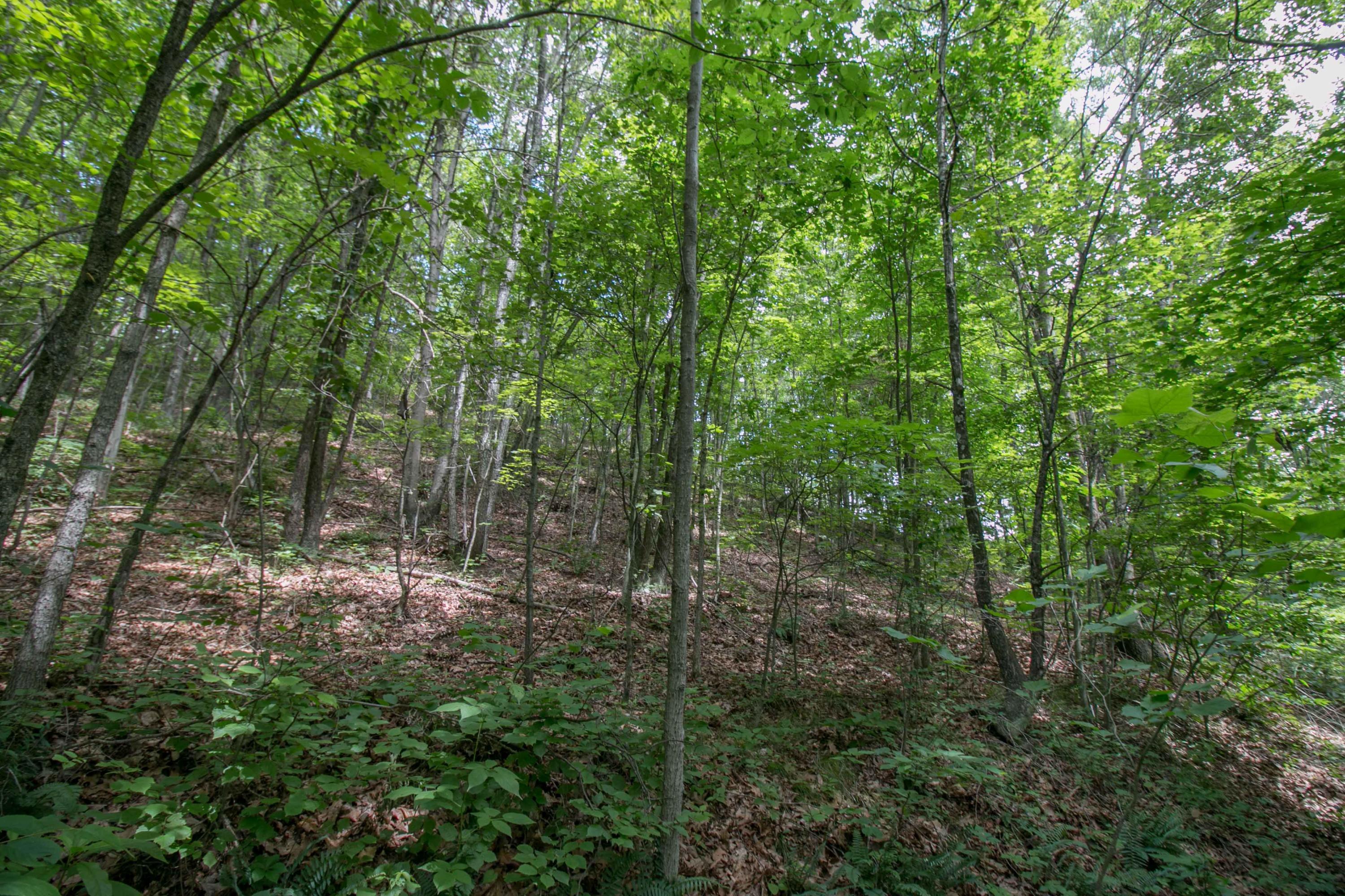8640 Carr Bailey Road Millfield, OH 45761 - Photo 30 of 50 Gallery Image 30