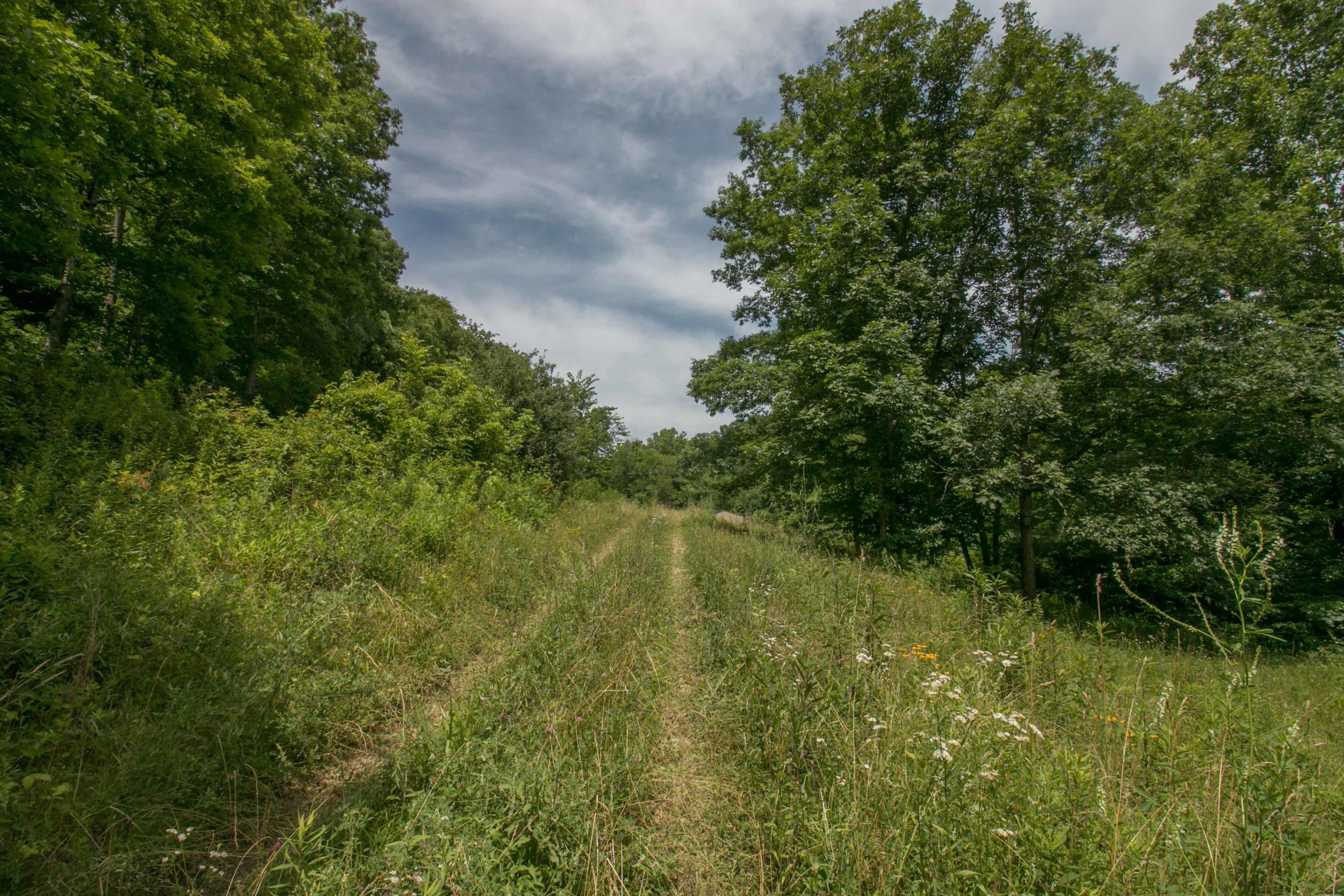 8640 Carr Bailey Road Millfield, OH 45761 - Photo 3 of 50 Gallery Image 3