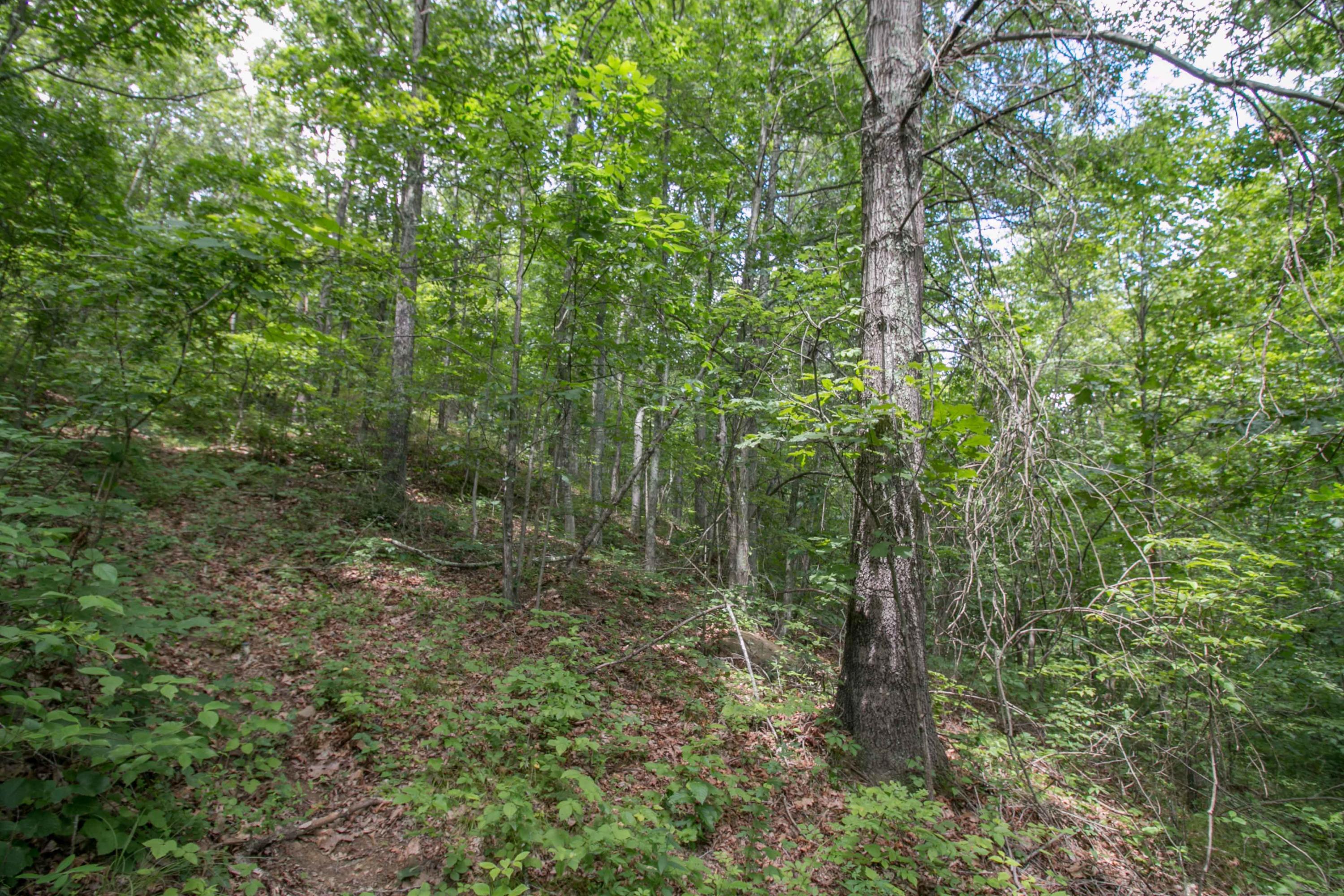 8640 Carr Bailey Road Millfield, OH 45761 - Photo 33 of 50 Gallery Image 33