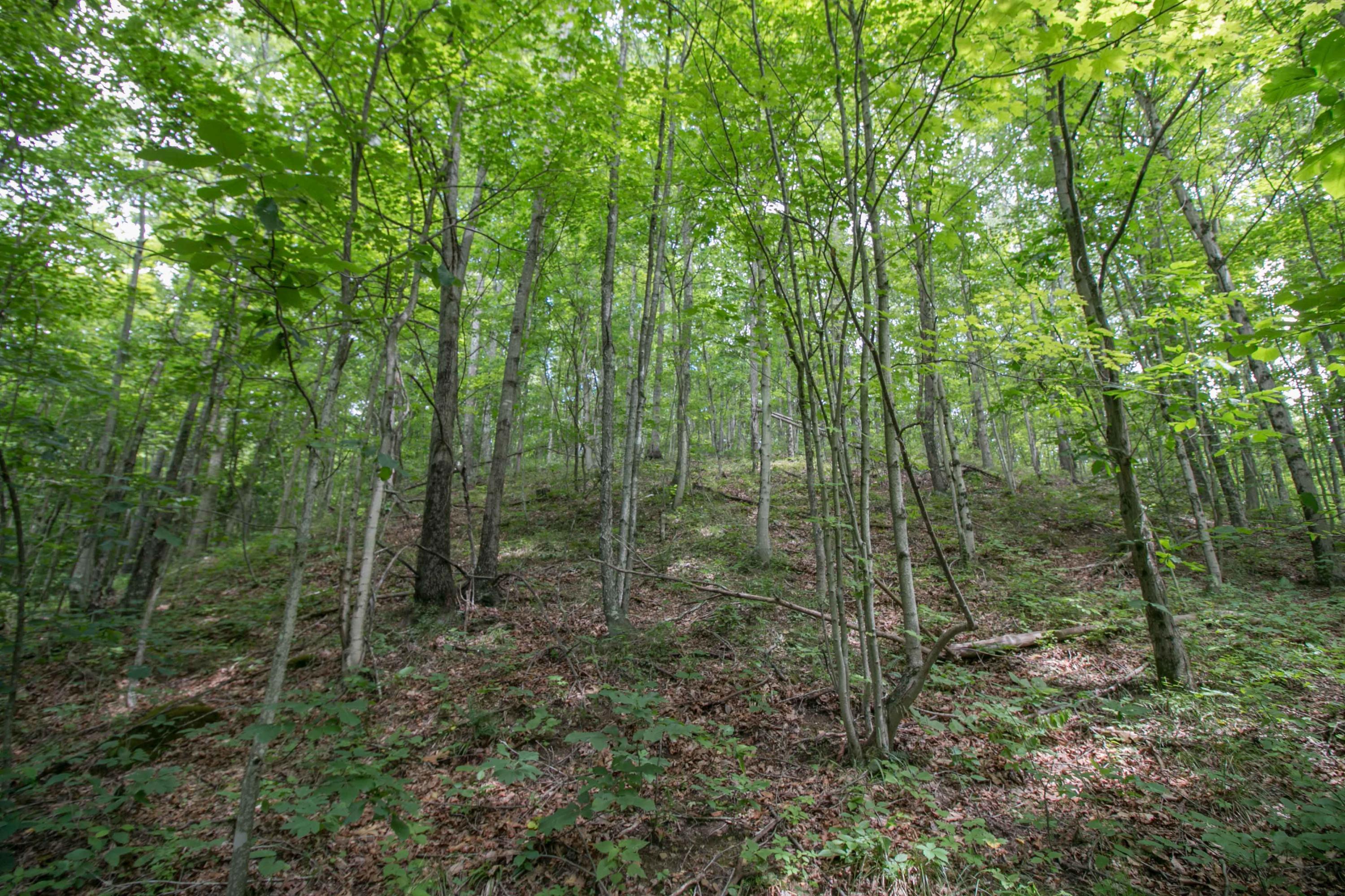 8640 Carr Bailey Road Millfield, OH 45761 - Photo 35 of 50 Gallery Image 35