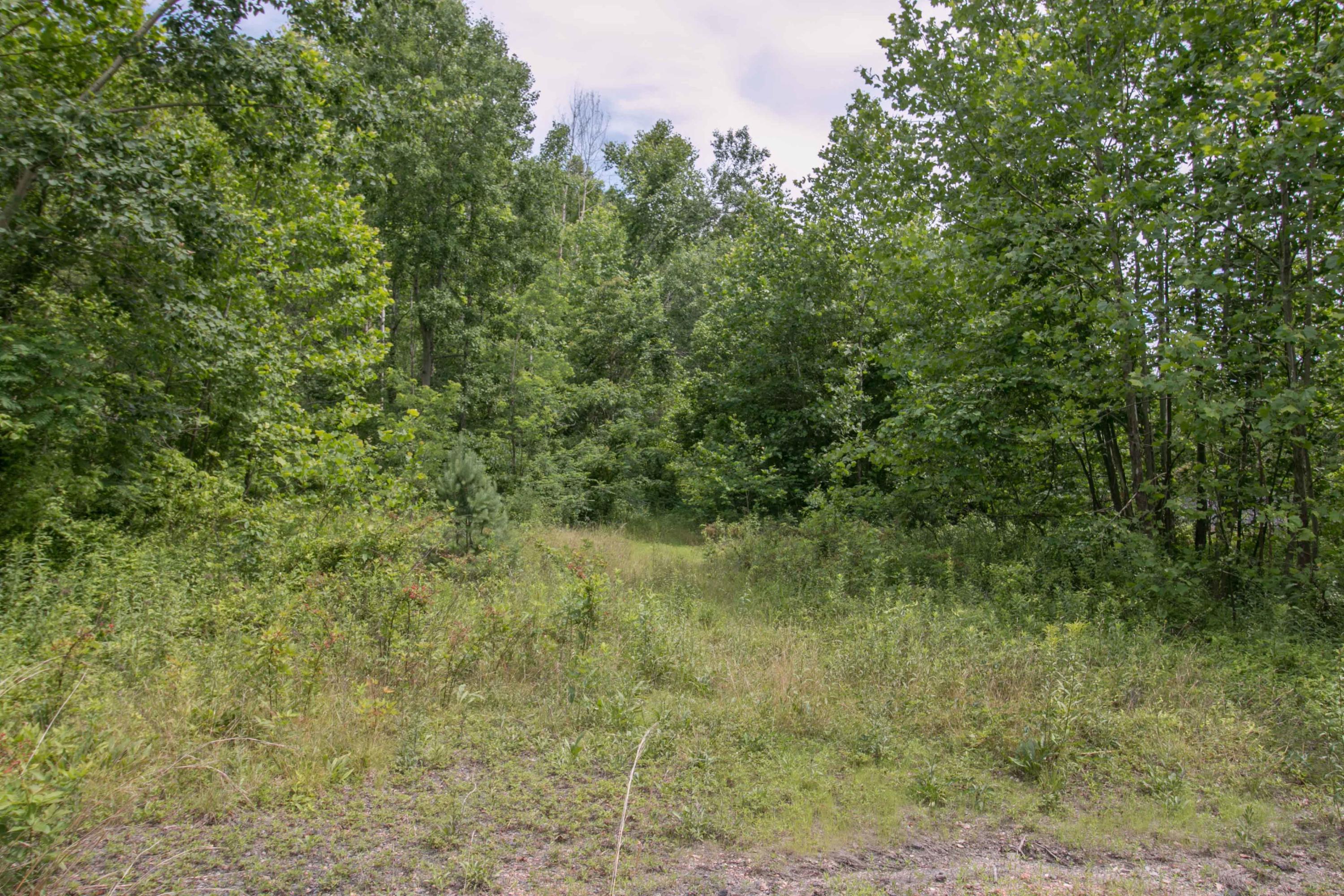 8640 Carr Bailey Road Millfield, OH 45761 - Photo 41 of 50 Gallery Image 41