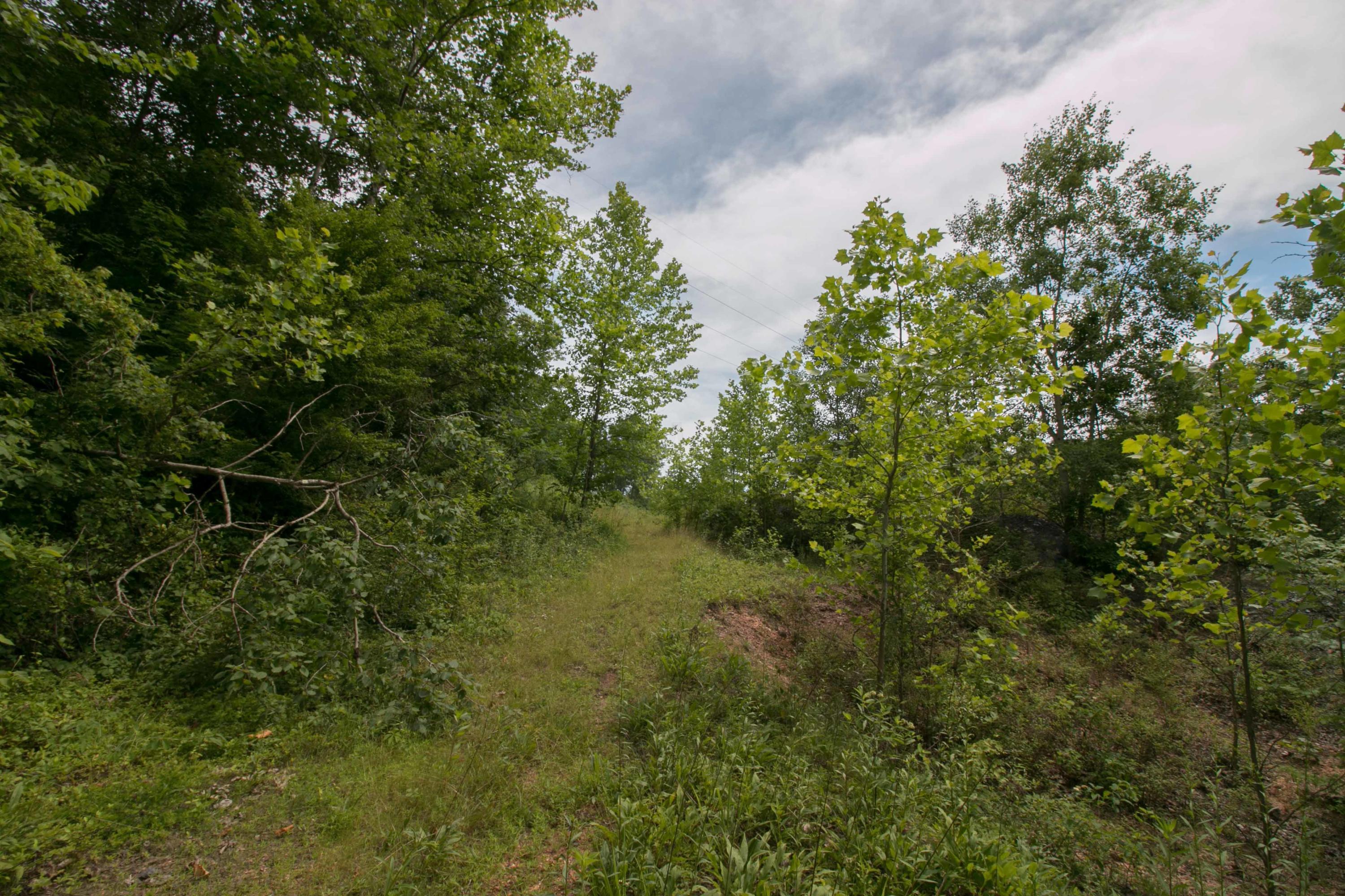 8640 Carr Bailey Road Millfield, OH 45761 - Photo 44 of 50 Gallery Image 44