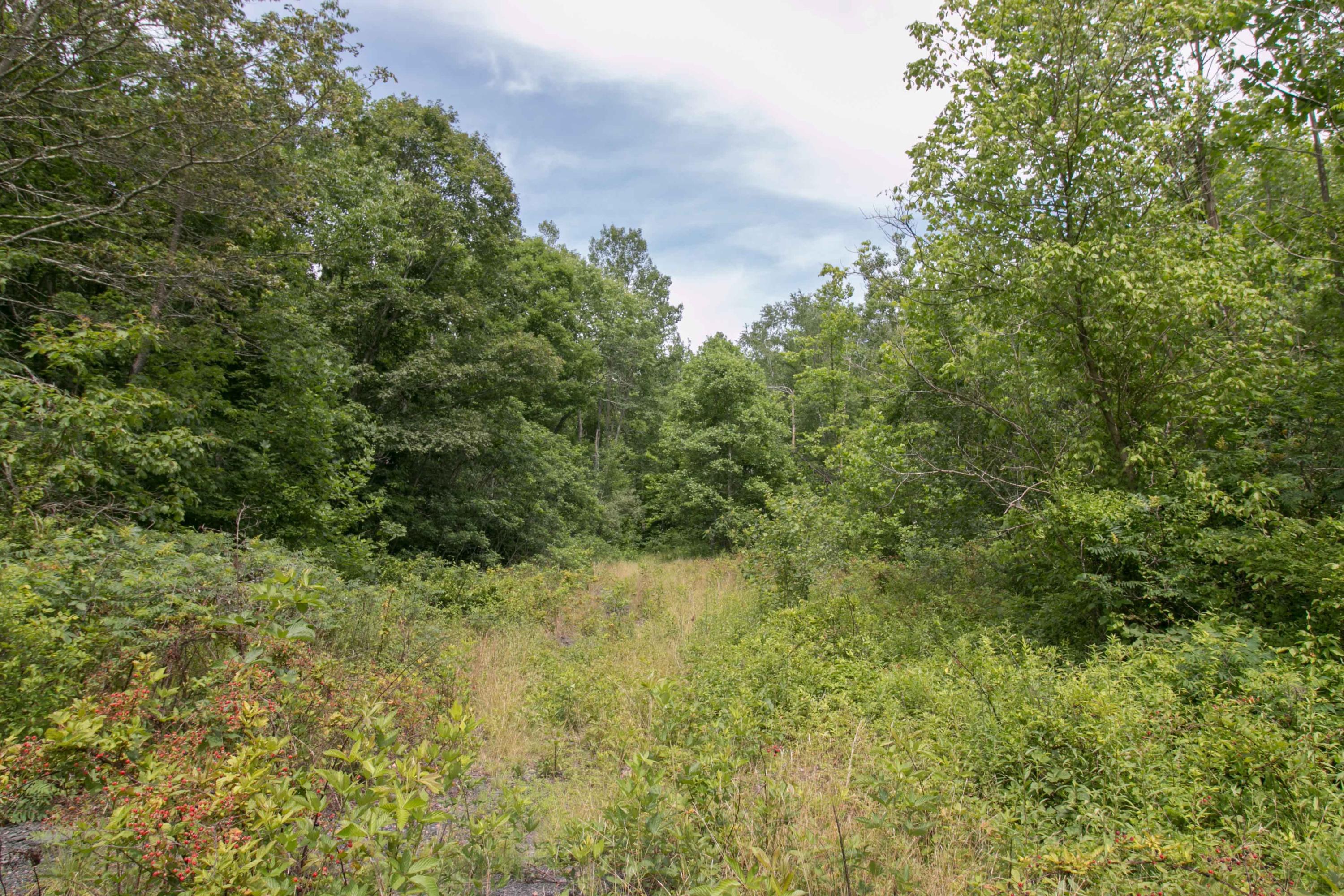 8640 Carr Bailey Road Millfield, OH 45761 - Photo 46 of 50 Gallery Image 46
