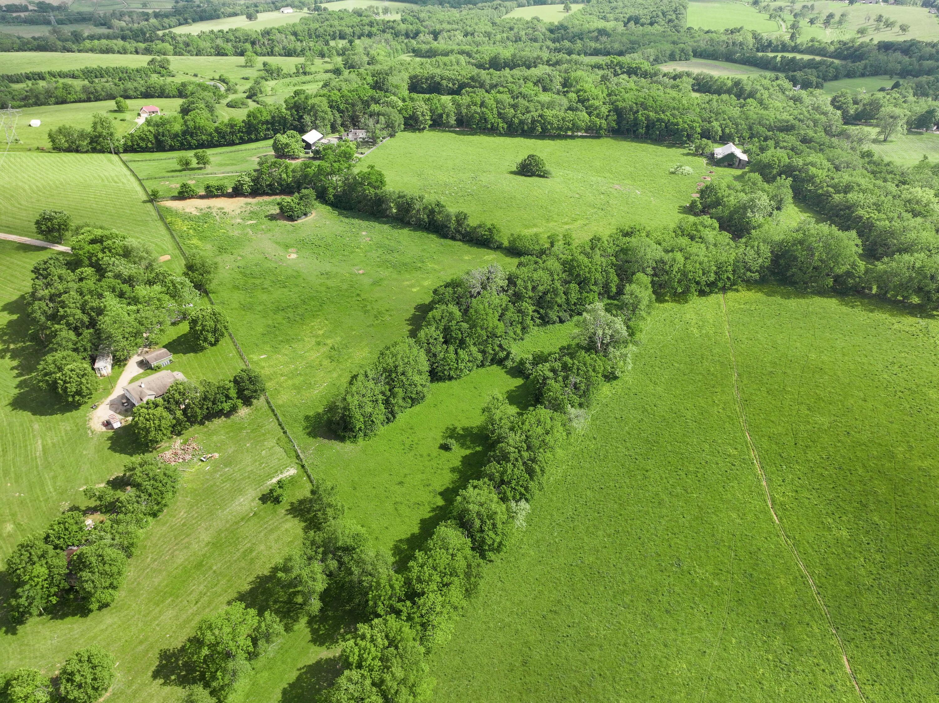 5119 Paynes Mill Road Lexington, KY 40510 - Photo 82 of 90 DJI_20240521165421_0441_D