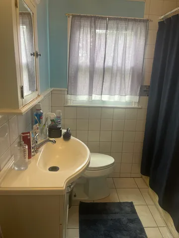 a bathroom with a sink a toilet and a mirror