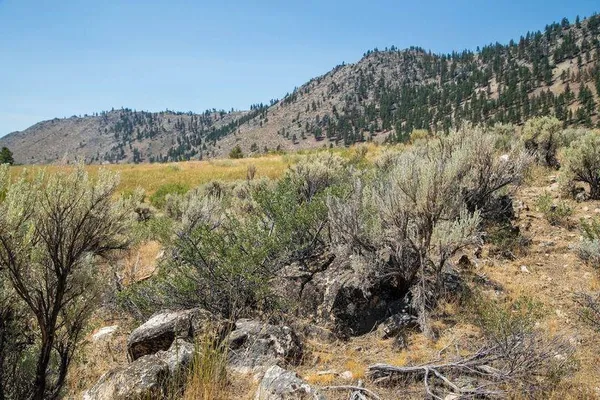 a view of mountains and valleys
