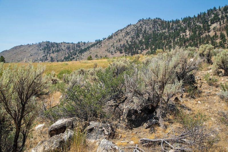 414-000 Scott Road Doyle, CA 96109 - Photo 15 of 20 a view of mountains and valleys