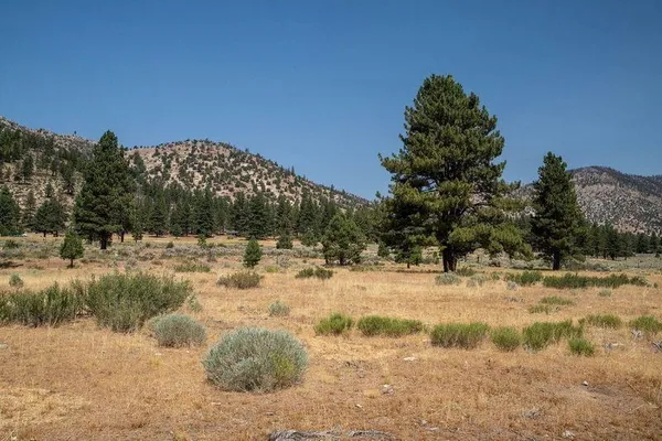 a view of a yard covered in snow