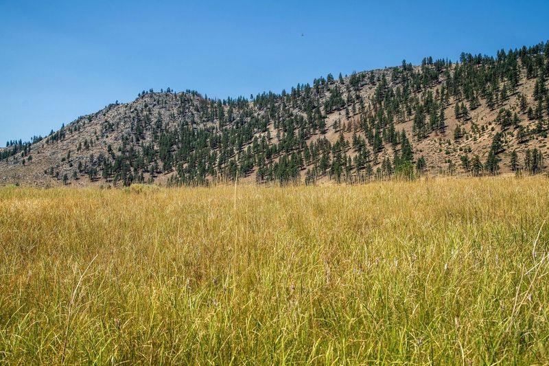 414-000 Scott Road Doyle, CA 96109 - Photo 18 of 20 a view of ocean view