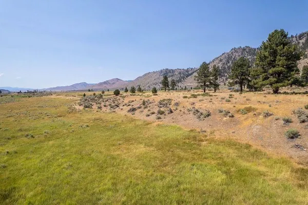 a view of a yard with a mountain