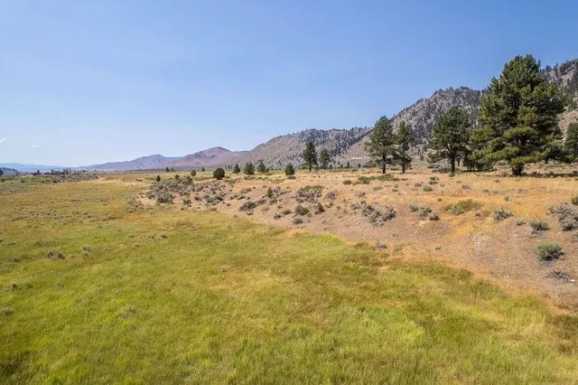 a view of a yard with a mountain