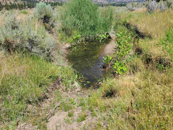 a view of a lake with a yard