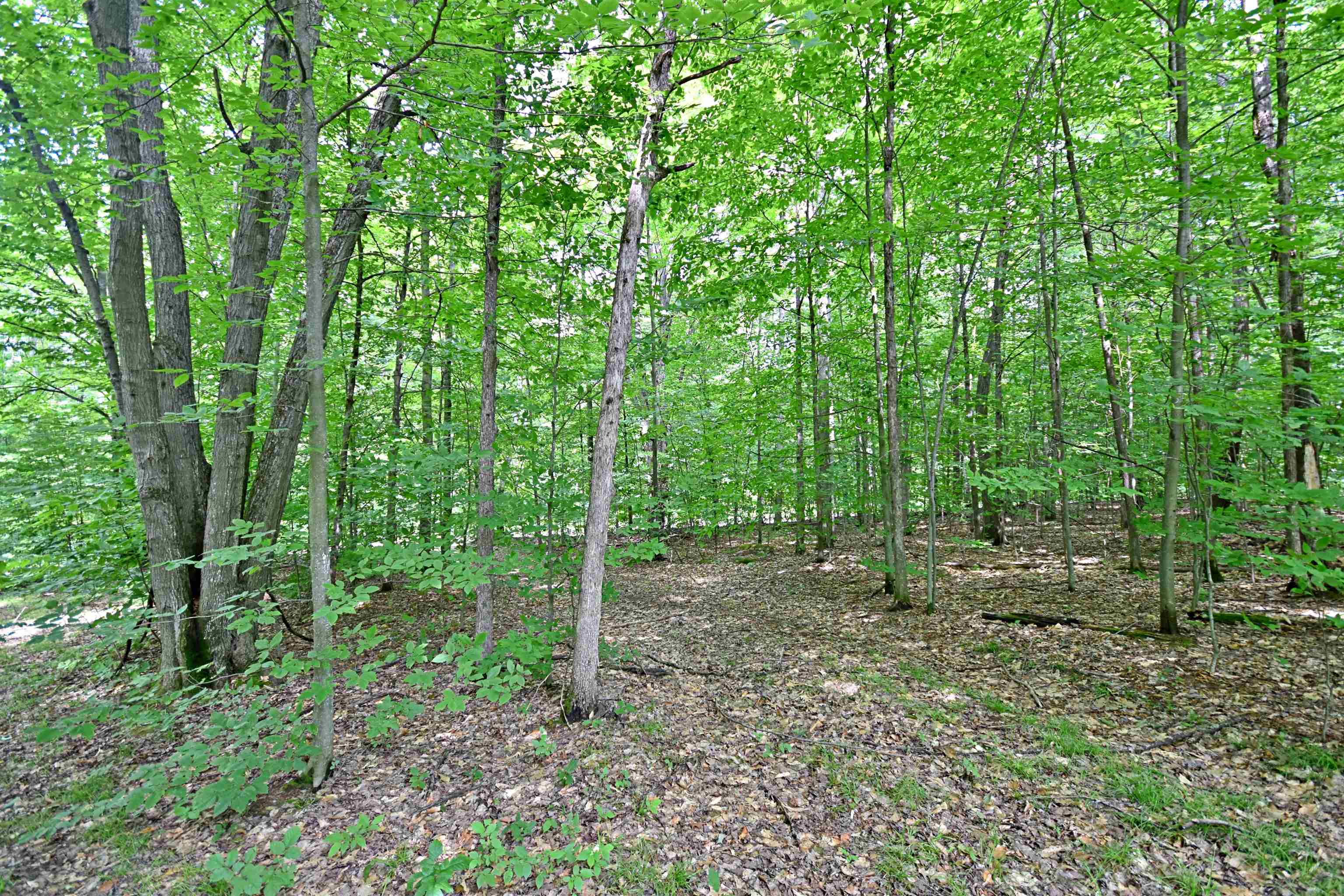 Vl 00 Cherry Hill Road Fife Lake, MI 49633 - Photo 6 of 26