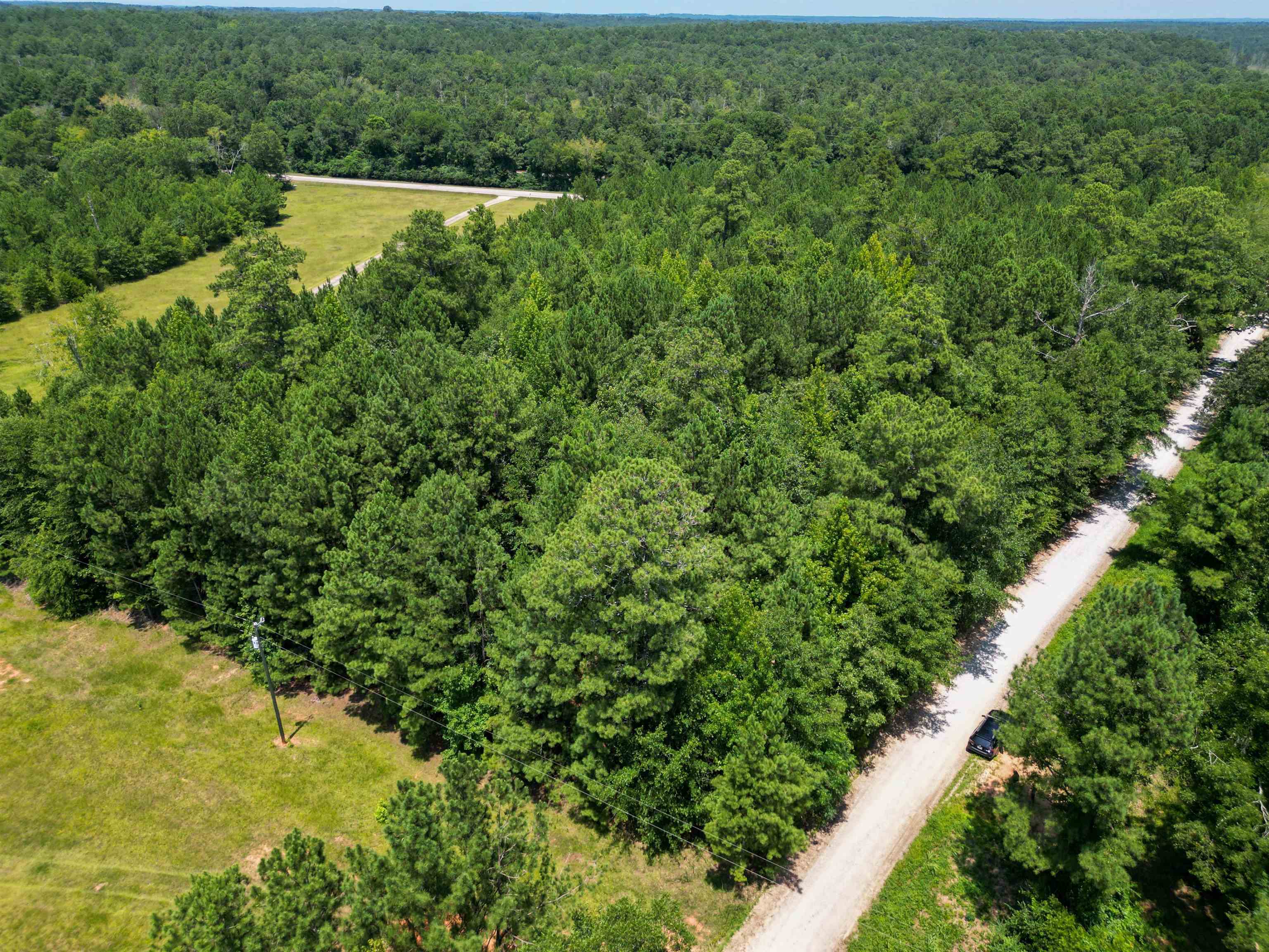 1101 Buffalo Lick Road Union Point, GA 30669 - Photo 1 of 1 a view of a green yard with large trees