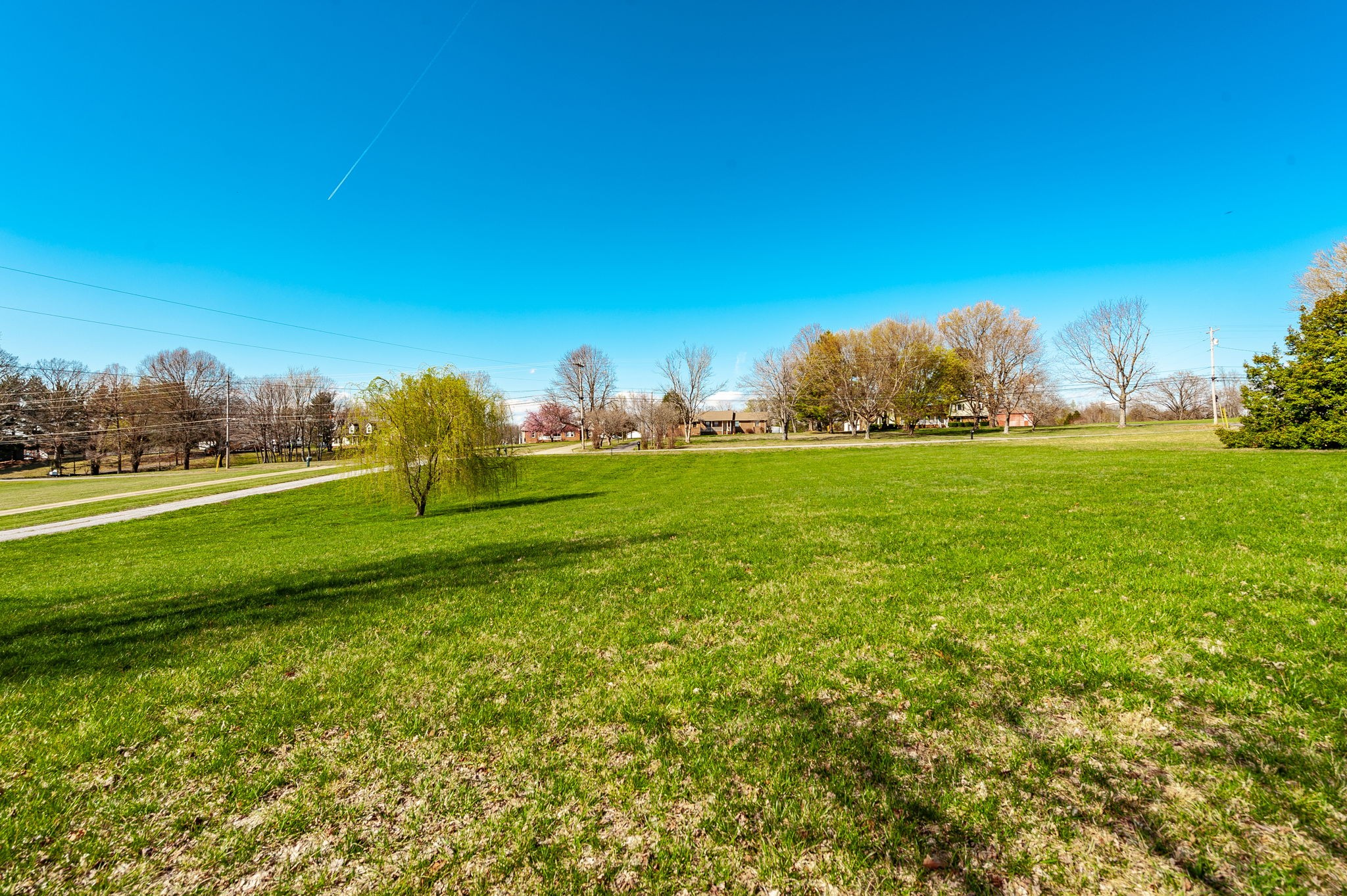 533 Lee Road Cottontown, TN 37048 - Photo 67 of 84 a view of a field with grass and trees