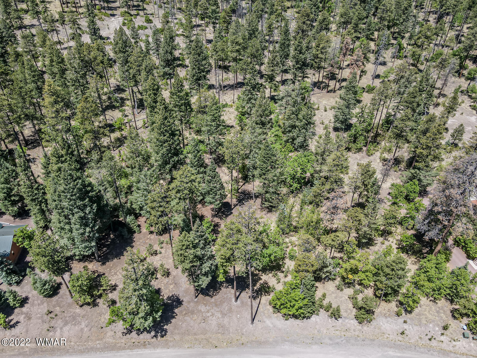 11 County Road Alpine, AZ 85920 - Photo 11 of 16
