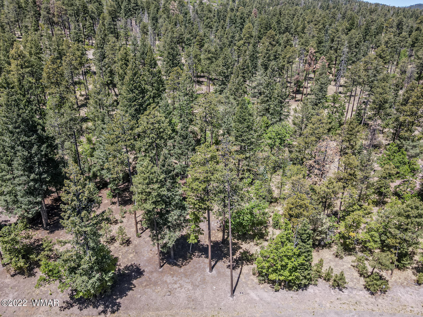 11 County Road Alpine, AZ 85920 - Photo 12 of 16