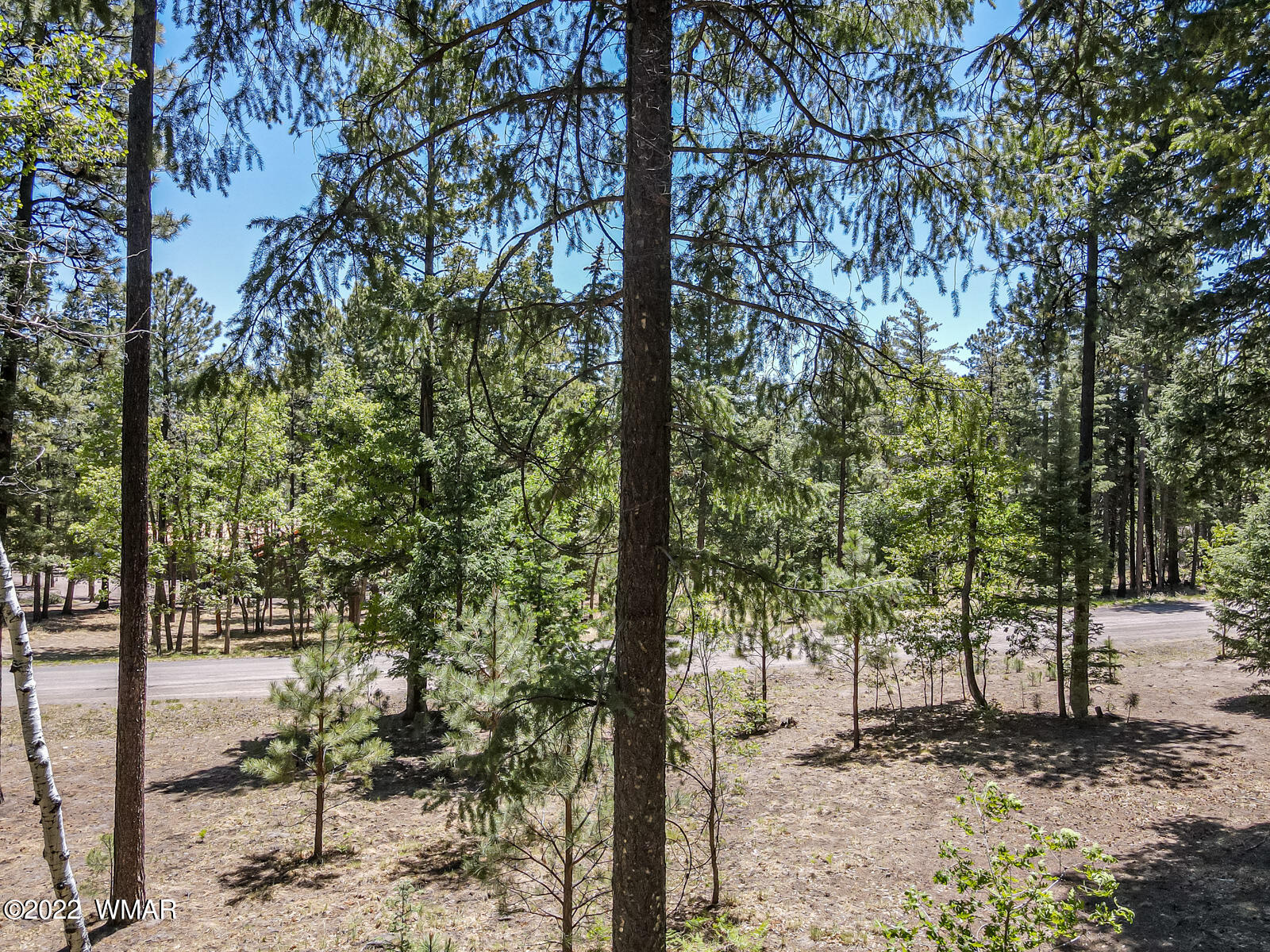 11 County Road Alpine, AZ 85920 - Photo 14 of 16