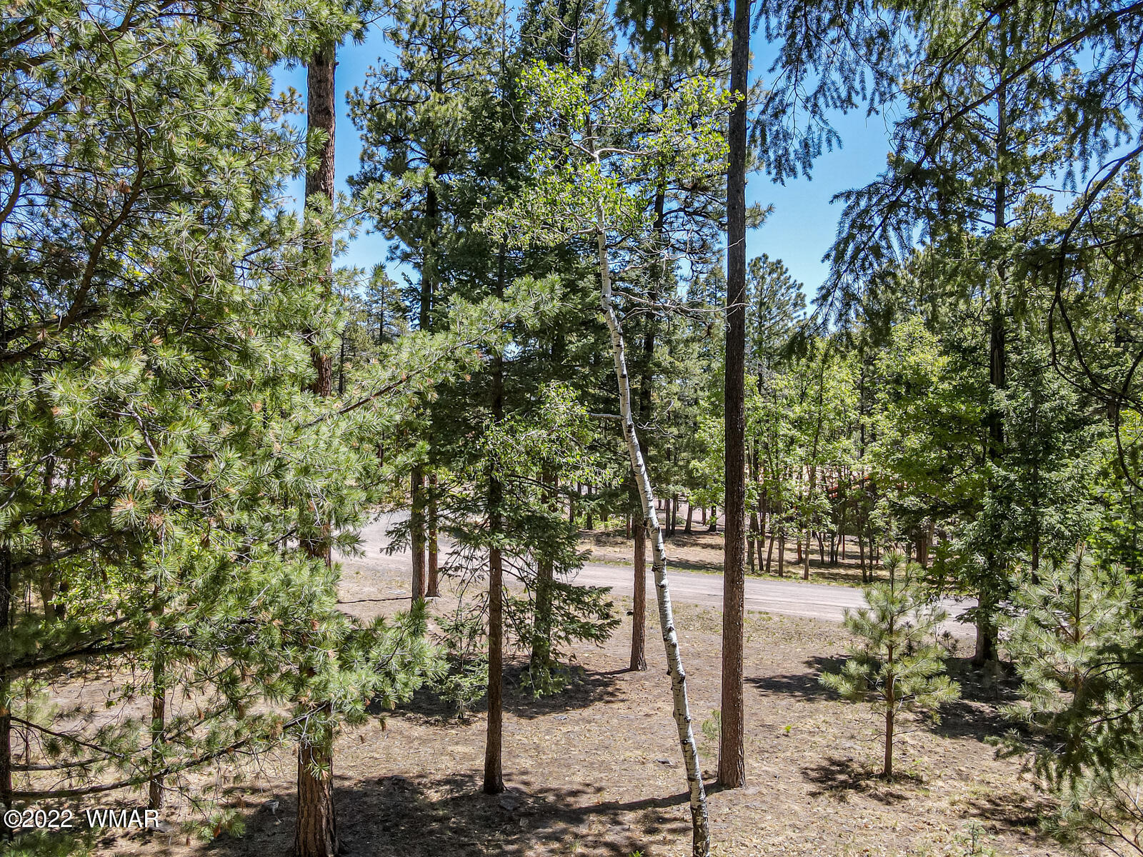 11 County Road Alpine, AZ 85920 - Photo 15 of 16