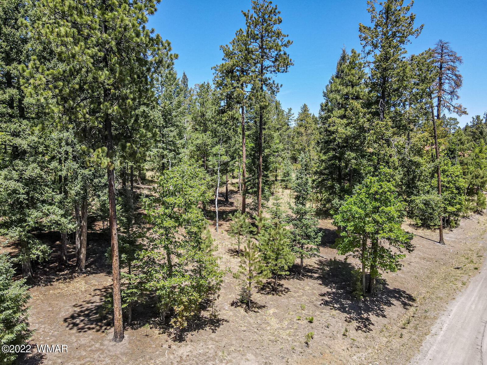 11 County Road Alpine, AZ 85920 - Photo 16 of 16