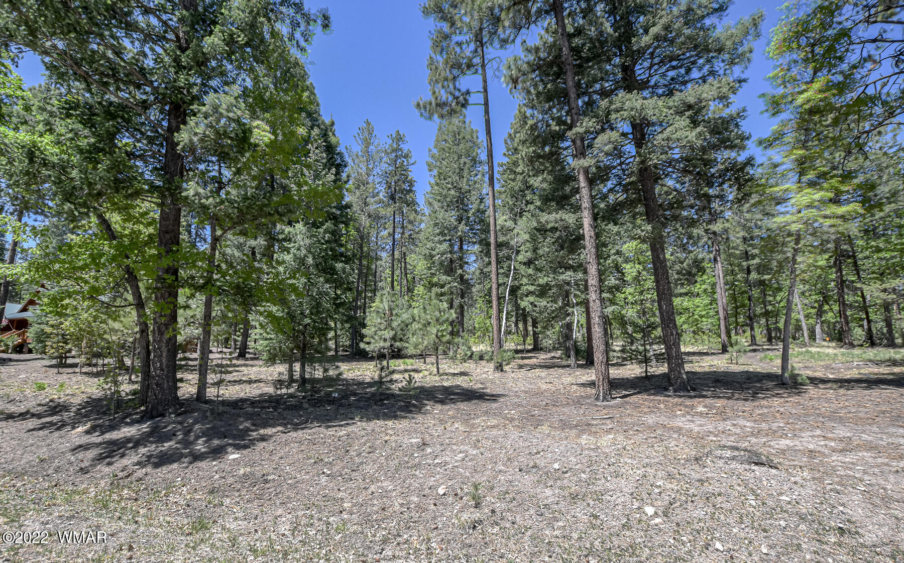 11 County Road Alpine, AZ 85920 - Photo 2 of 16