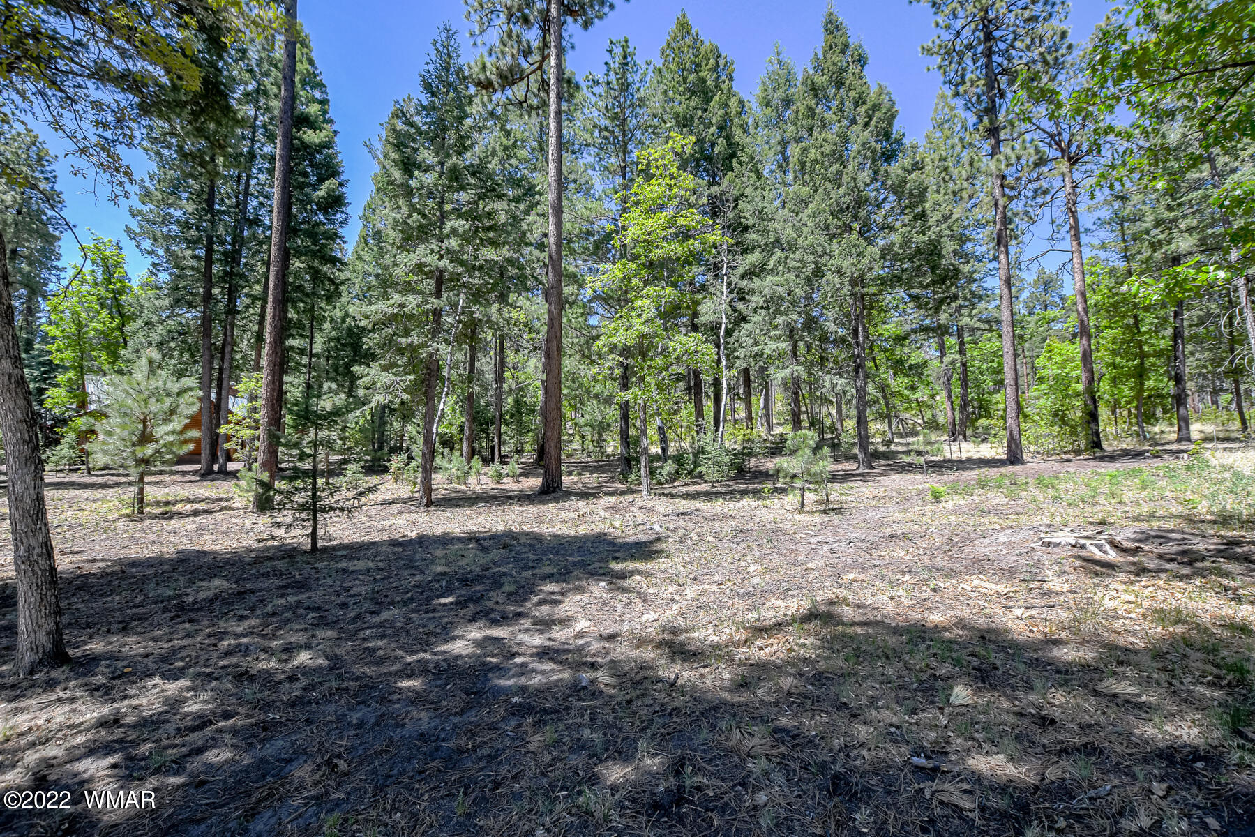 11 County Road Alpine, AZ 85920 - Photo 3 of 16