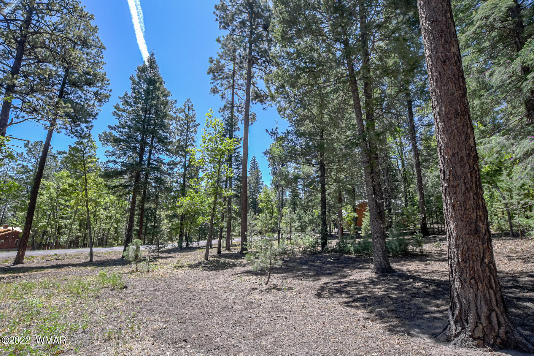 11 County Road Alpine, AZ 85920 - Photo 4 of 16