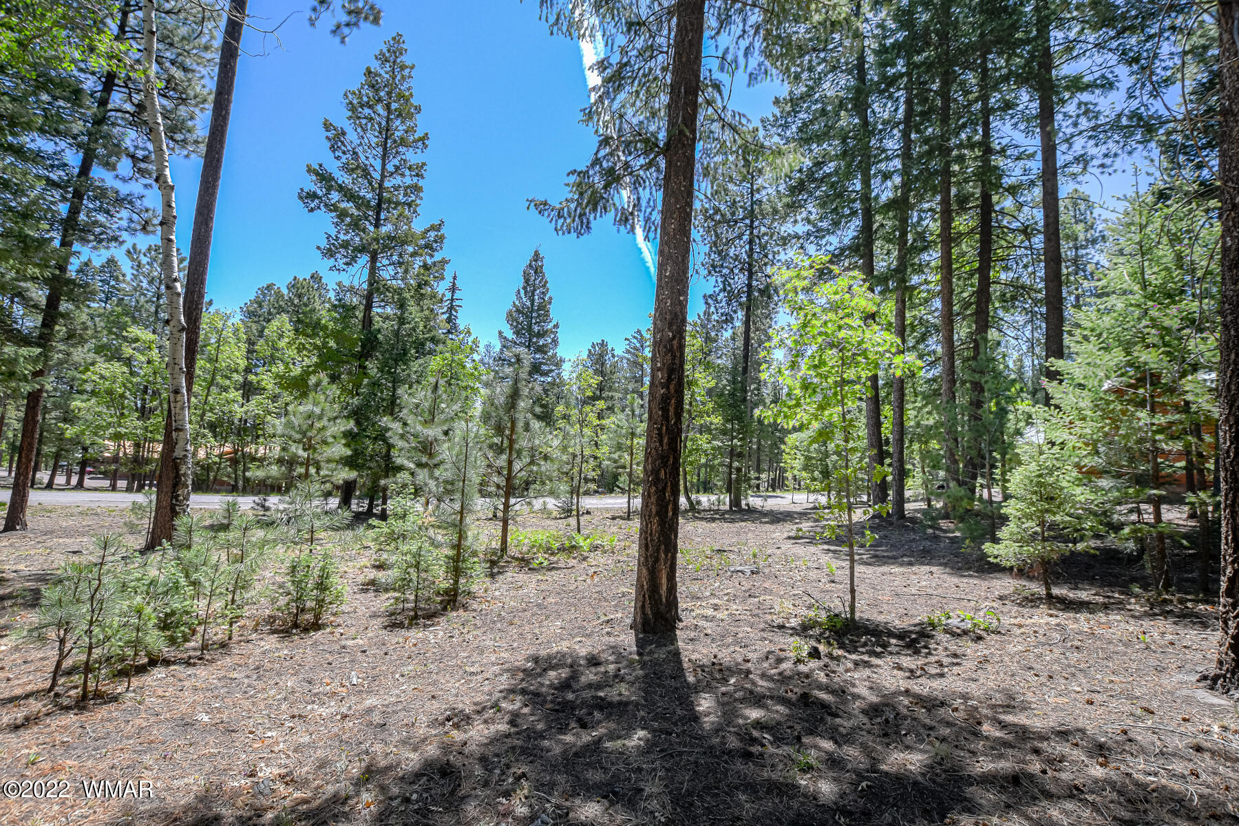 11 County Road Alpine, AZ 85920 - Photo 5 of 16