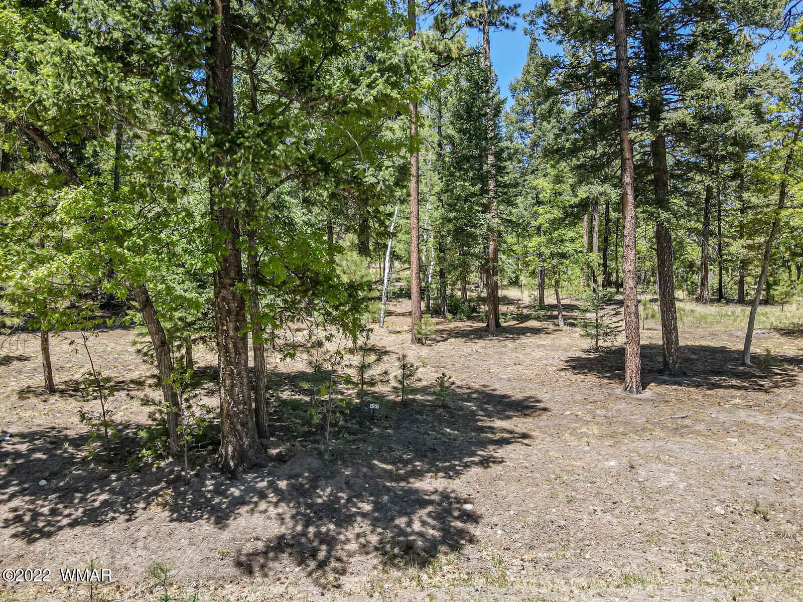 11 County Road Alpine, AZ 85920 - Photo 8 of 16