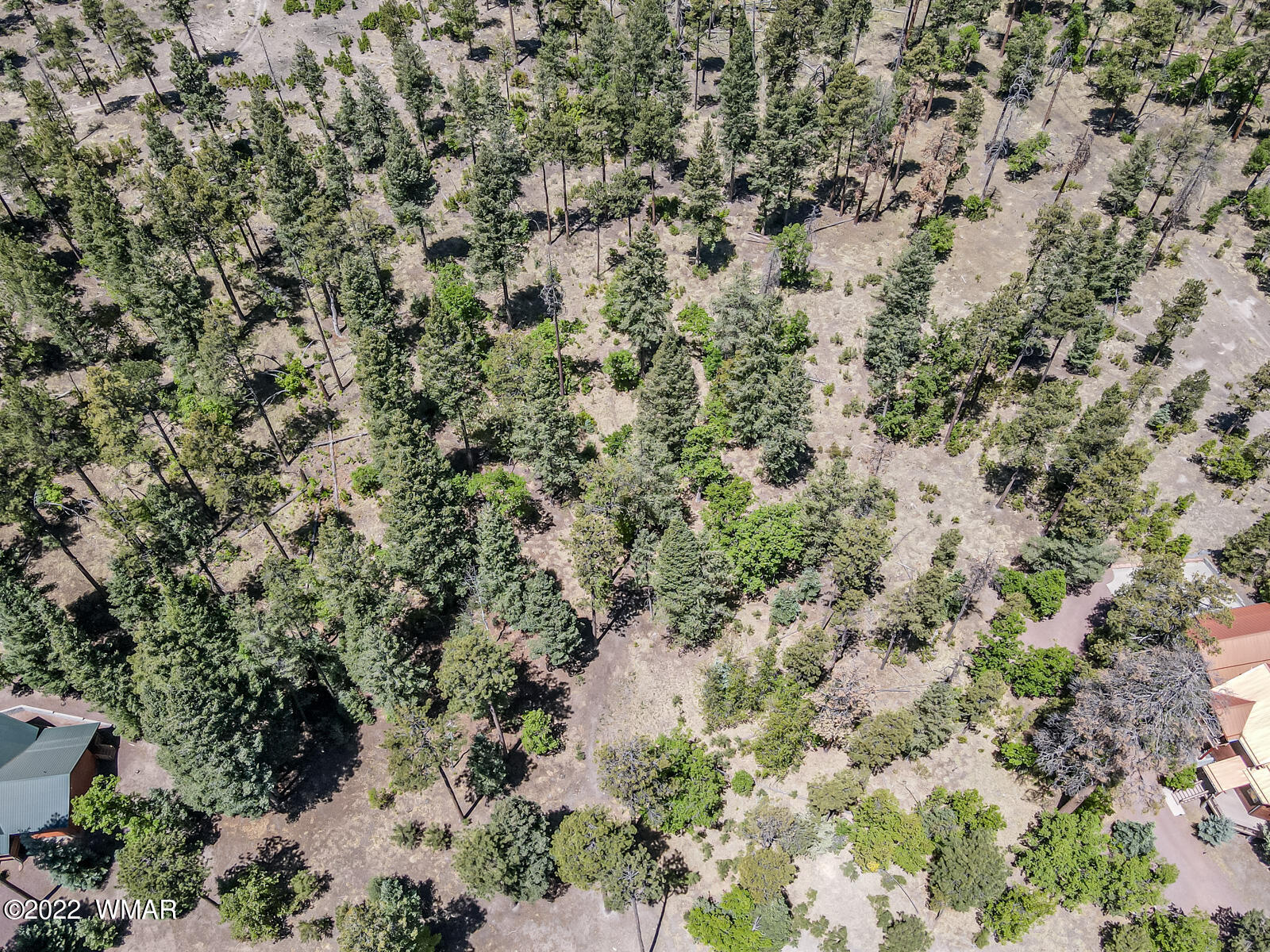 11 County Road Alpine, AZ 85920 - Photo 9 of 16