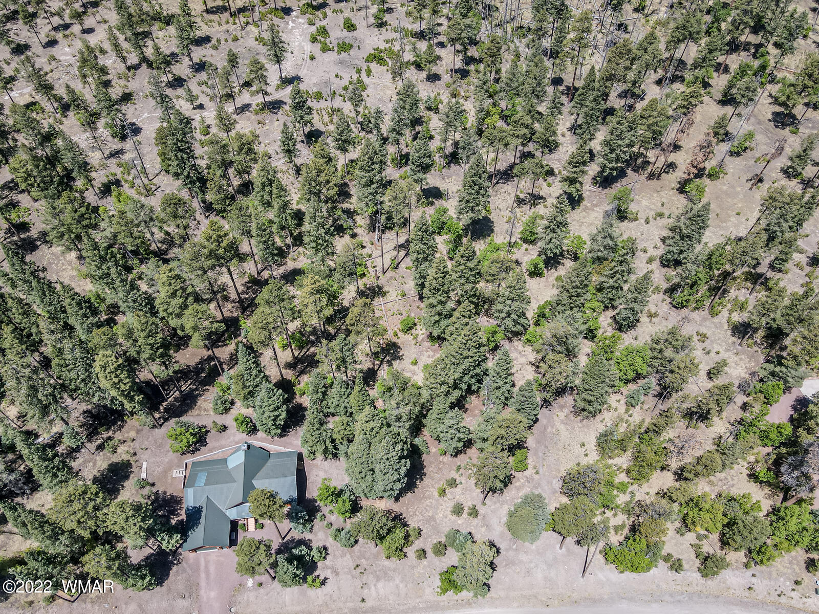 11 County Road Alpine, AZ 85920 - Photo 10 of 16