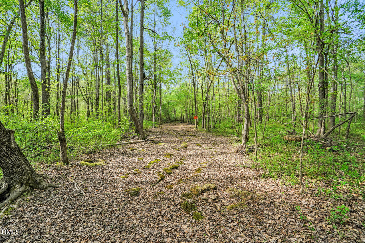 370 Log Barn Road Pittsboro, NC 27312 - Photo 52 of 54 111