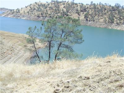 28311 Sky Harbour Road Friant, CA 93626 - Photo 1 of 5 Gallery Image 1