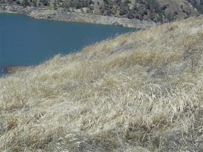 28311 Sky Harbour Road Friant, CA 93626 - Photo 2 of 5 Gallery Image 2