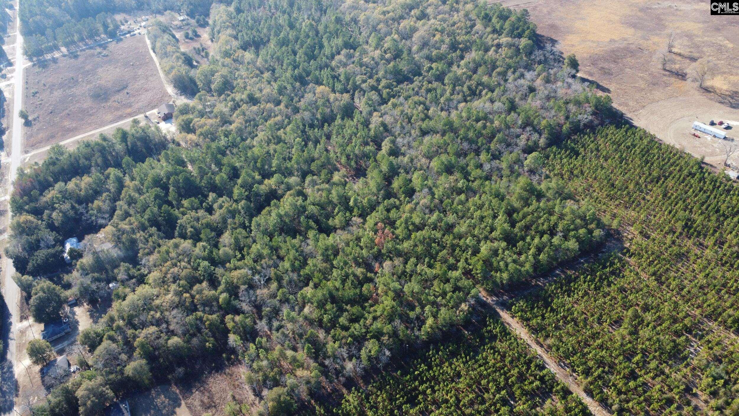Tbd Jeffcoat Road Wagener, SC 29164 - Photo 5 of 5