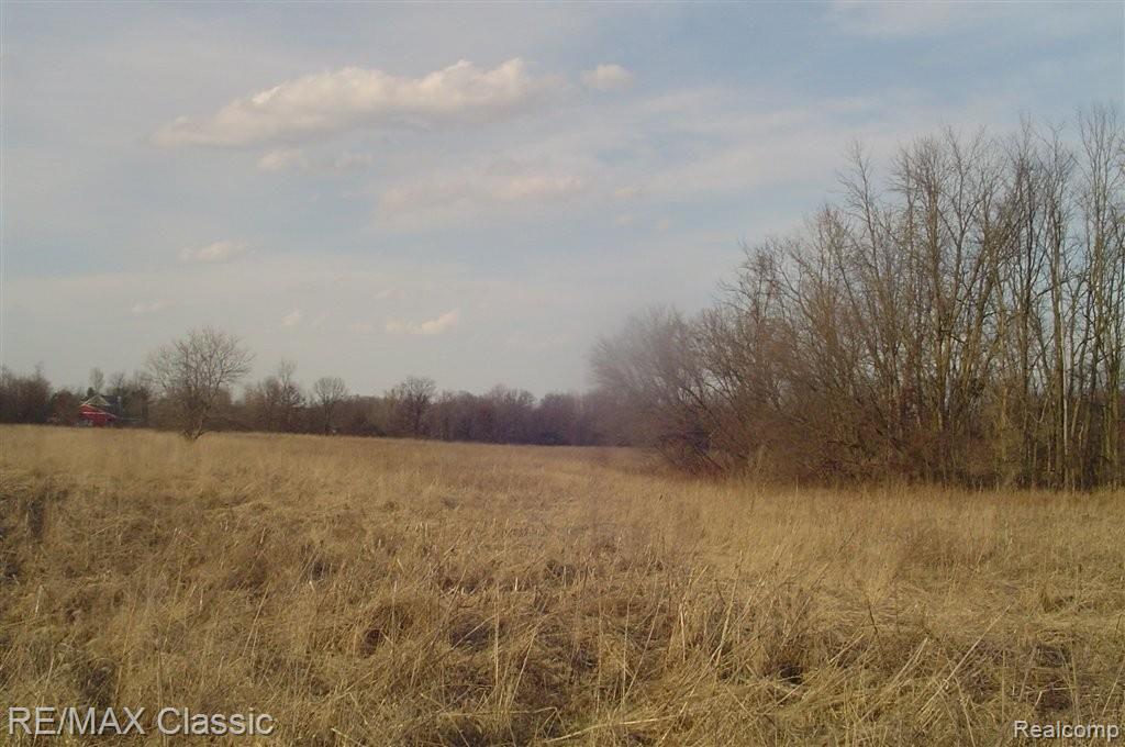 Vl Wiggins Road Howell, MI 48855 - Photo 13 of 25 Misc Wiggins VL 040.JPG