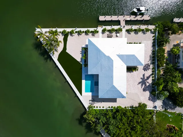 a park with palm trees