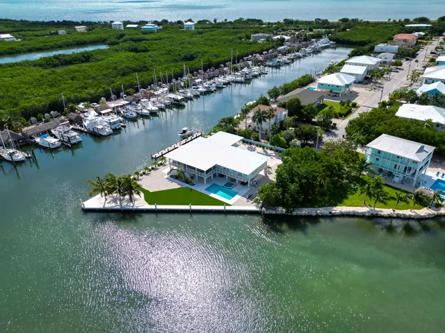 an aerial view of a house with a lake view
