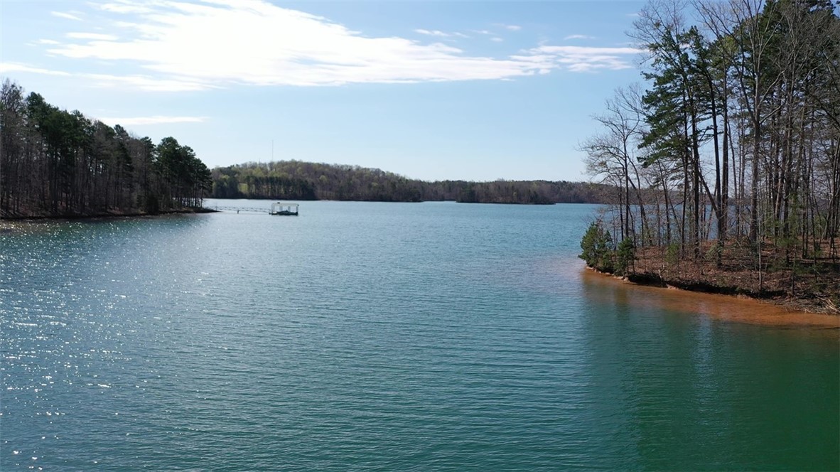 1 Lakeside Drive Salem, SC 29676 - Photo 49 of 50