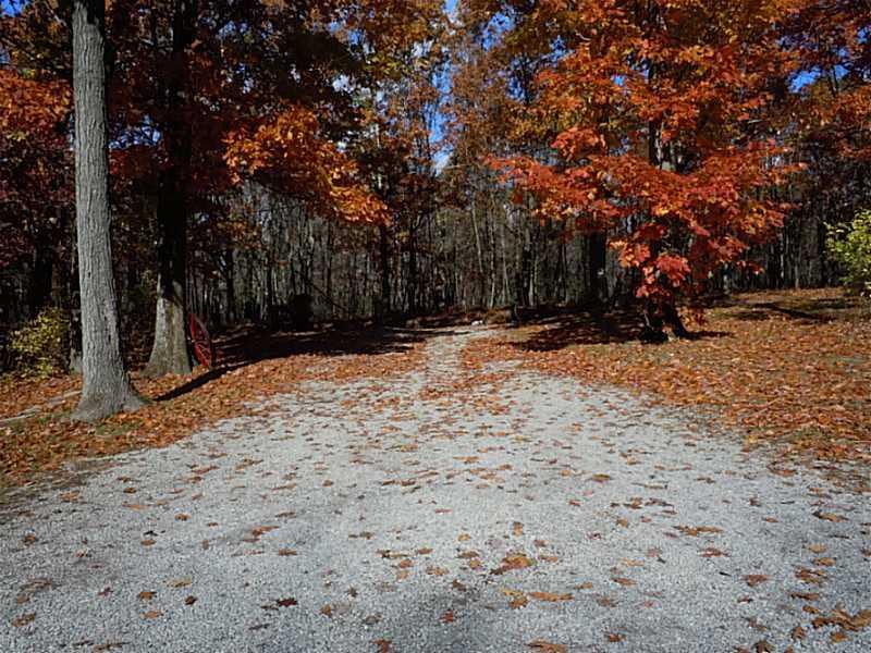 220 Odonnell Road Chicora, PA 16025 - Photo 21 of 21 View. Driveway to home