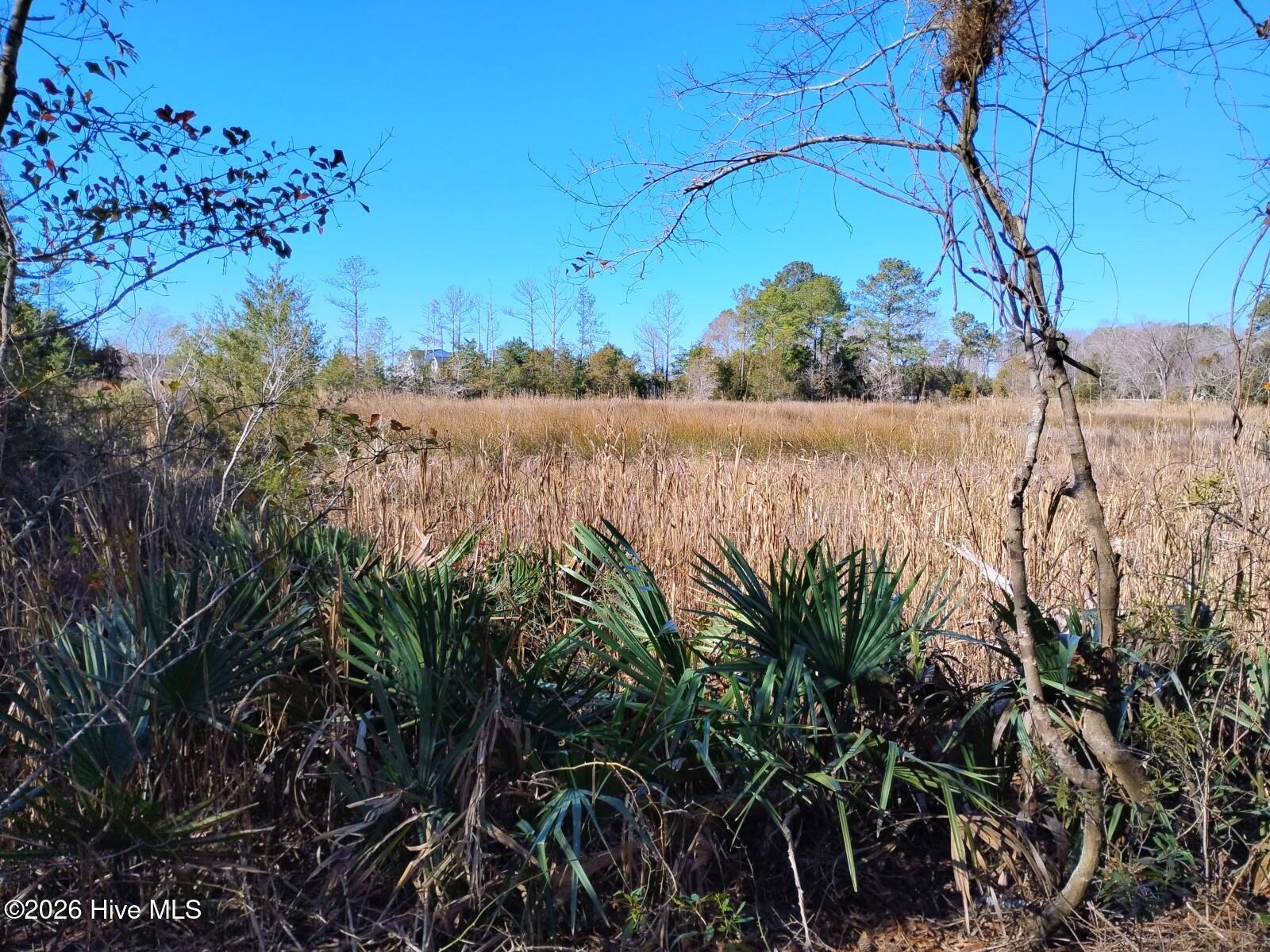 Incredible creek views & access