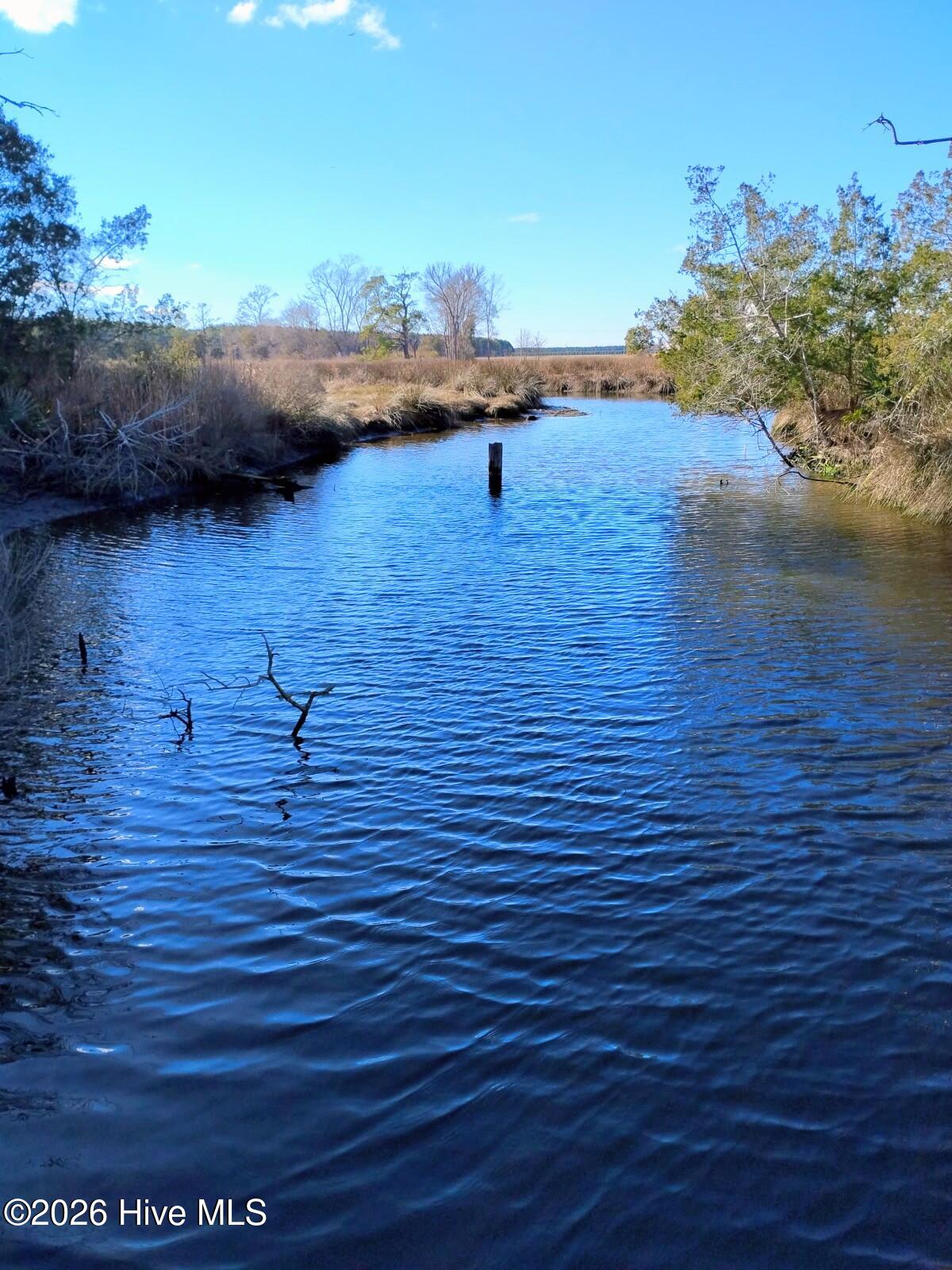 40 Alligator Creek Road Merritt, NC 28556 - Photo 12 of 14 Creek 2