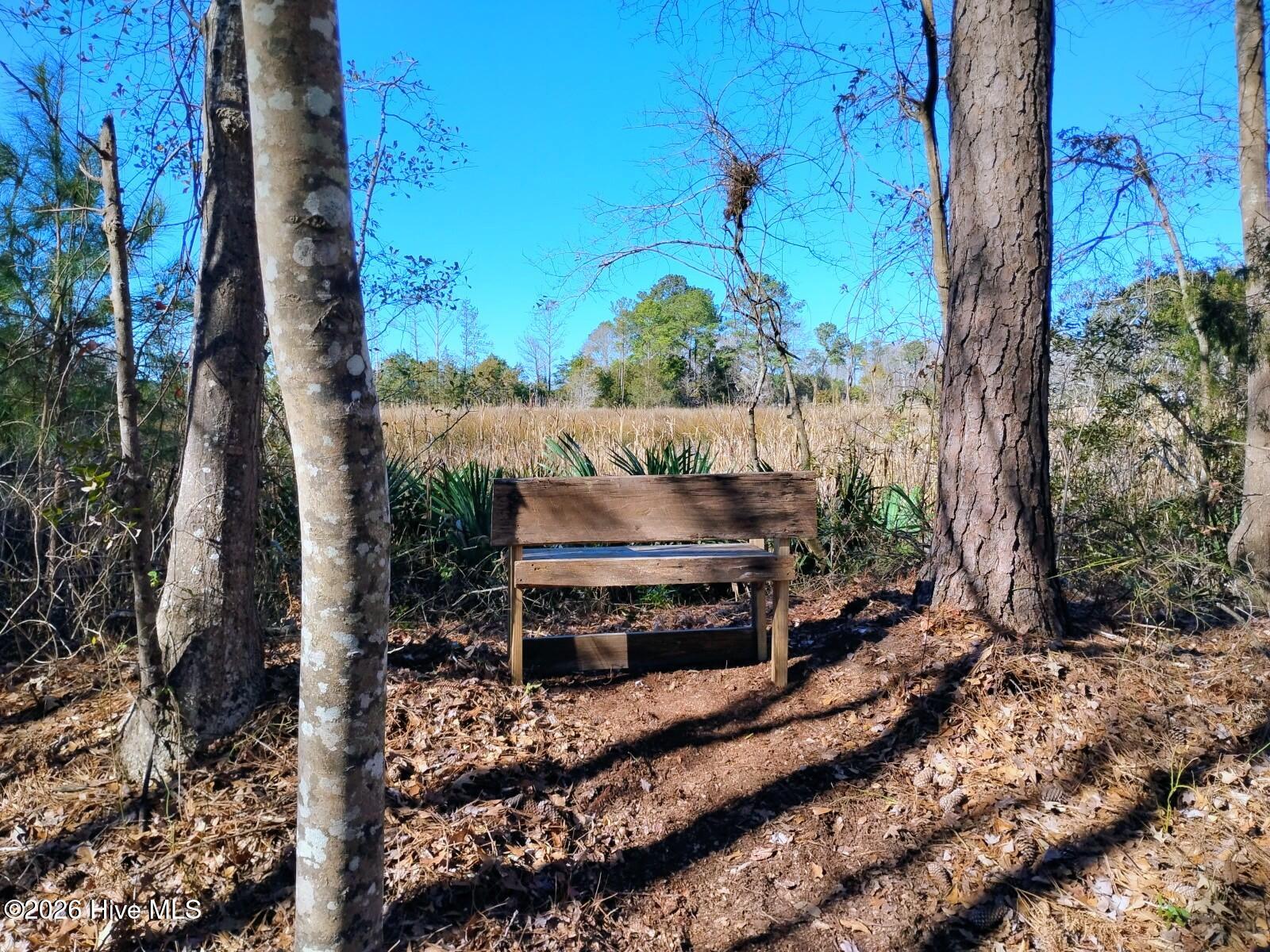 40 Alligator Creek Road Merritt, NC 28556 - Photo 8 of 14 Bench view
