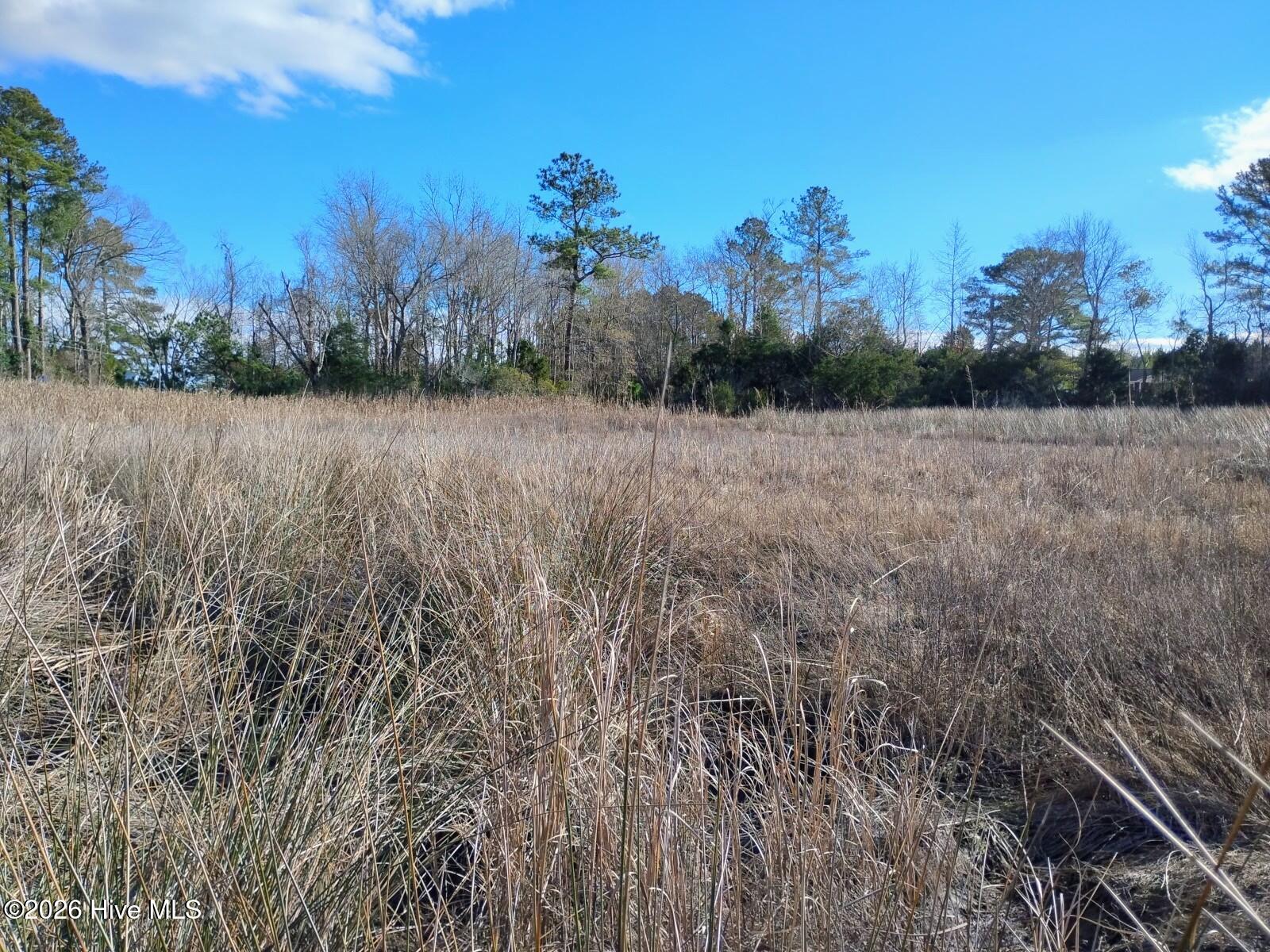 40 Alligator Creek Road Merritt, NC 28556 - Photo 9 of 14 Further into property